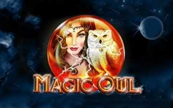 Magic Owl van Amatic